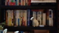 読書感想